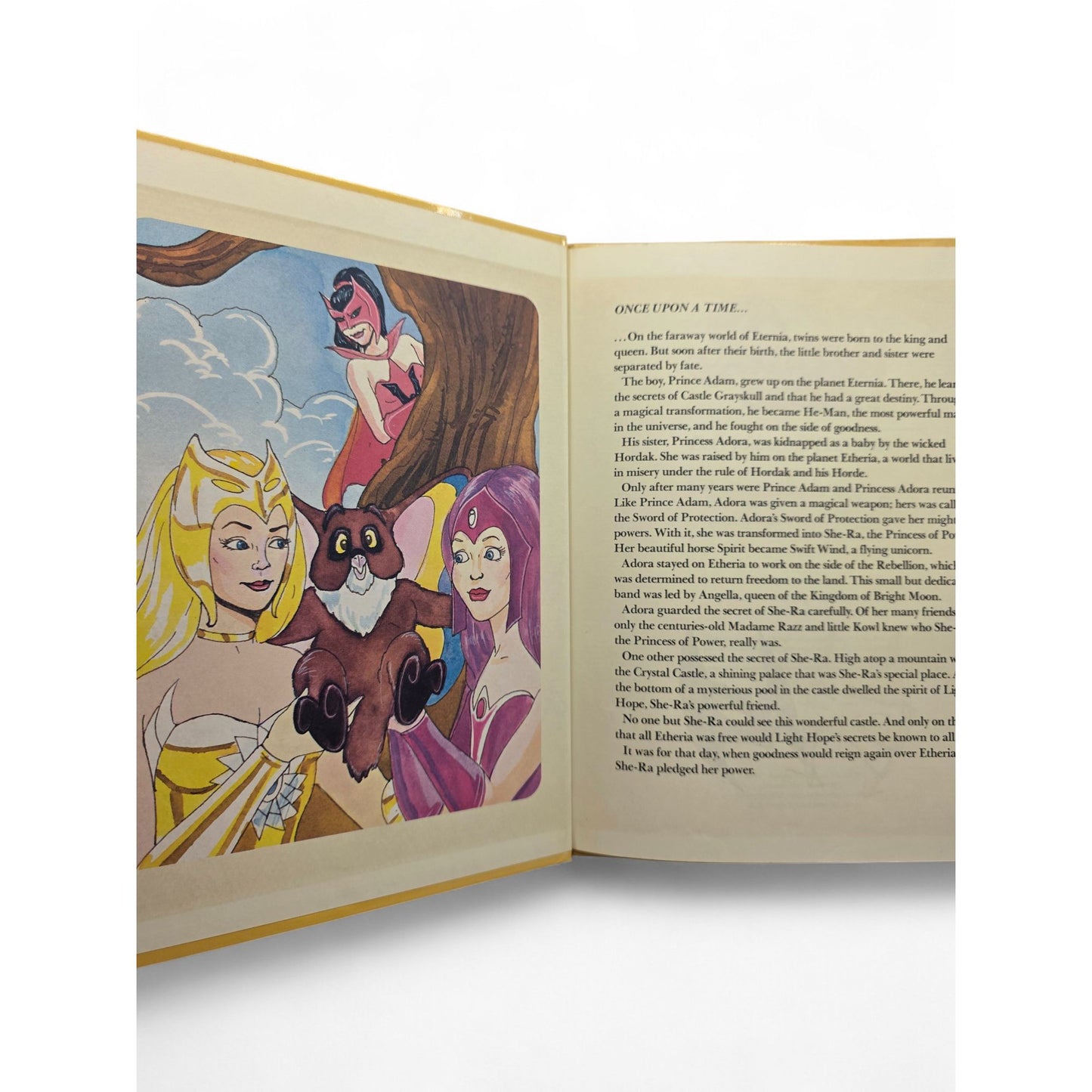 1985 – She-Ra Princess of Power – Everything But Happiness – Hardcover Storybook – Like New