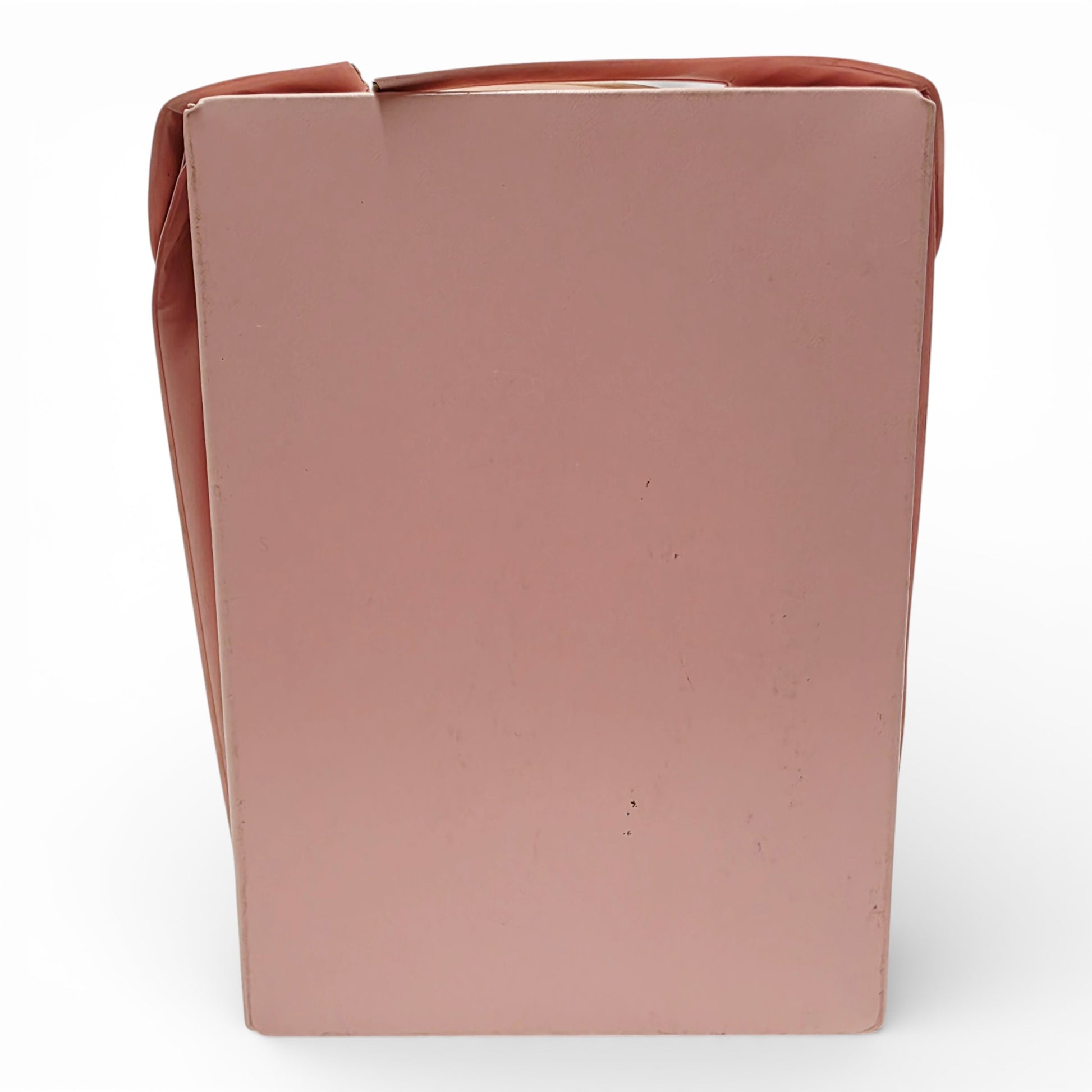Vintage 1970s doll accessory. Fashion Doll Case. Tara Toy Corp. Pretty in Pink! 31.5 x 23cm. Back view.