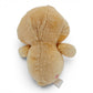 1983 – Care Bears – Champ Bear – 33cm Plush – Like New #2