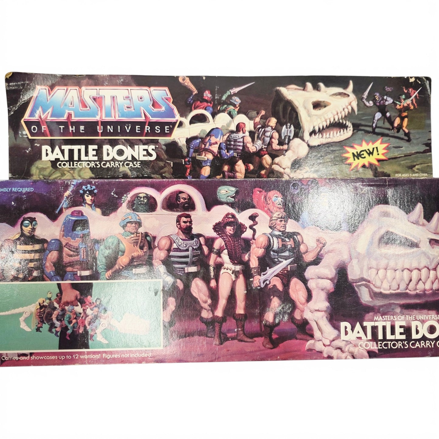 1985 Masters of the Universe Battle Bones action figure playset — Face close-up
