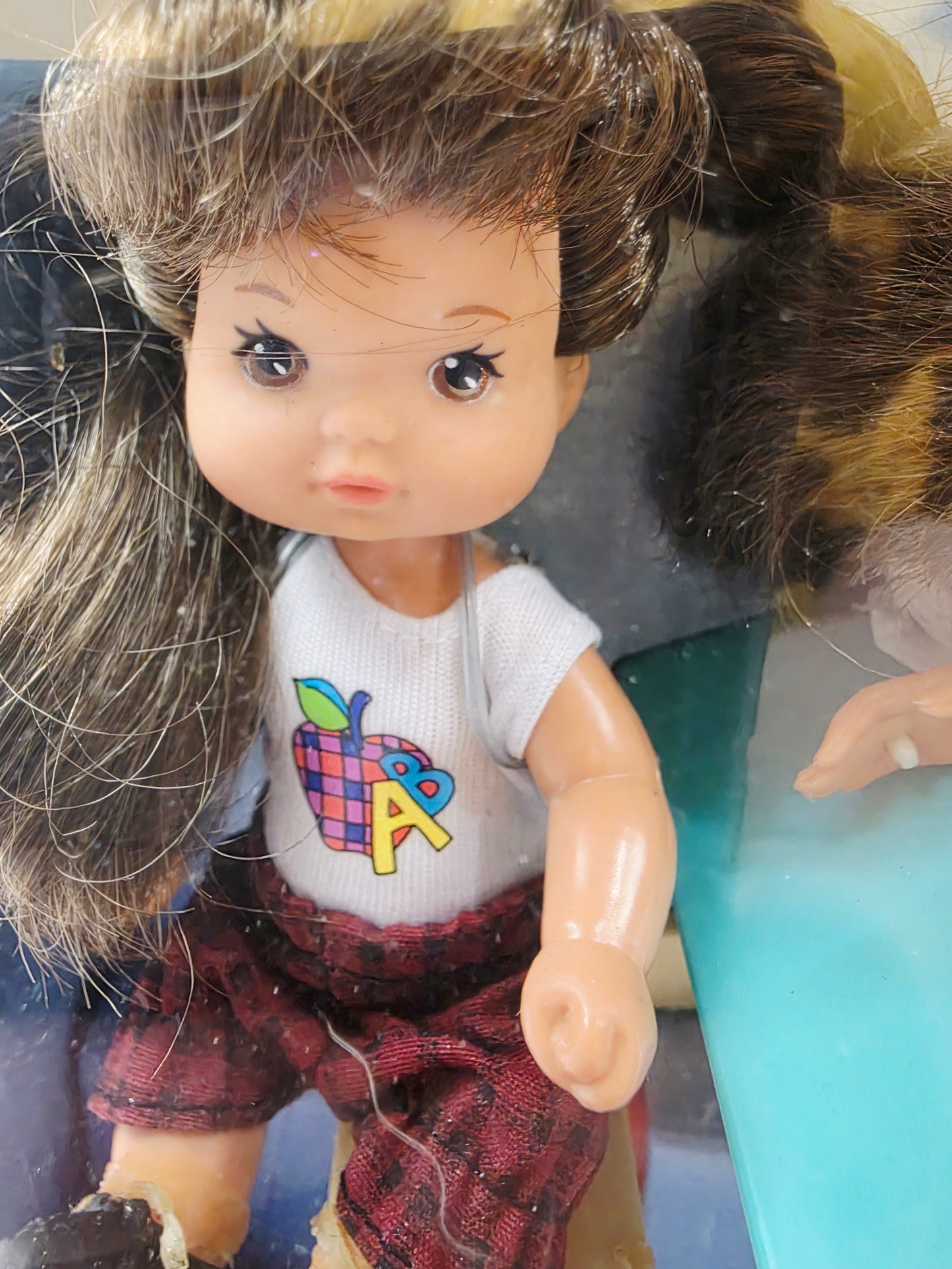 1995 Barbie Teacher Barbie (Brunette) doll giftset — Close-up 1