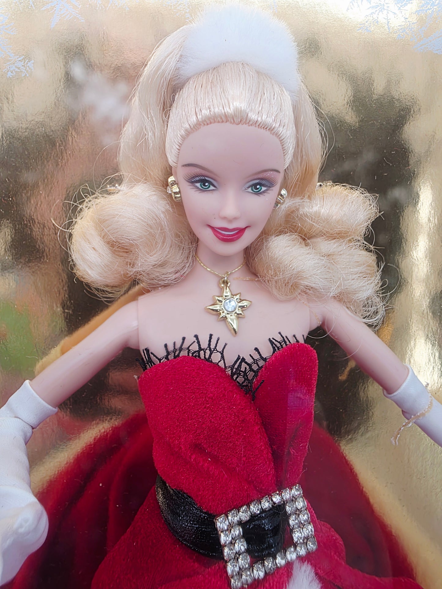 2007 Barbie Holiday Barbie - 2007 Release doll — Face close-up