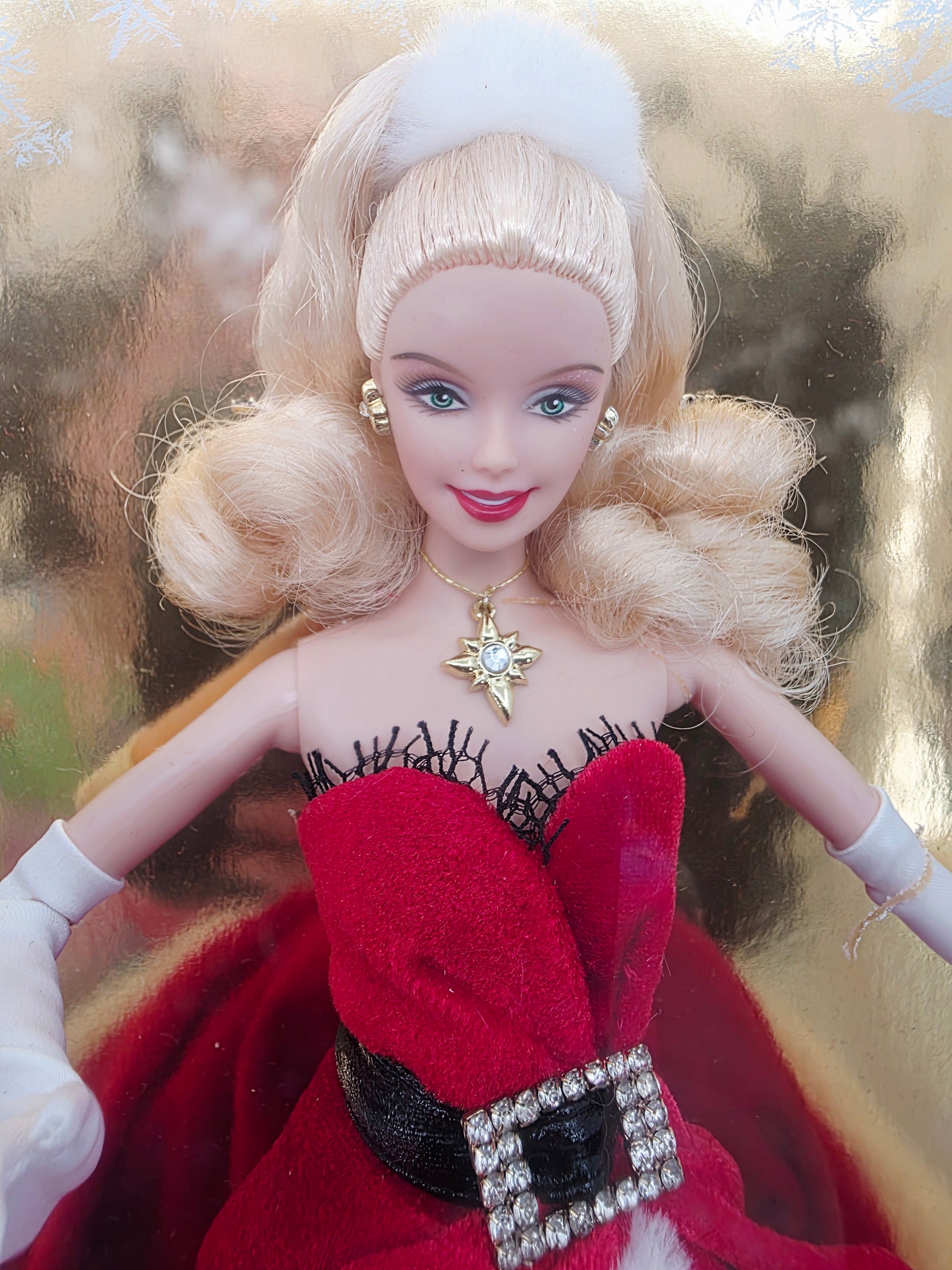 2007 Barbie Holiday Barbie - 2007 Release doll — Face close-up